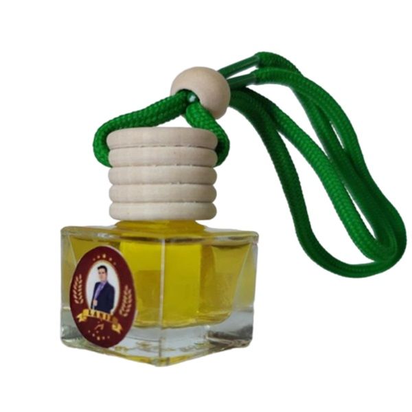 خوشبوکننده خودرو لانیز مدل خاک مرطوب کد 0071 361 1 حجم 10 میلی لیتر